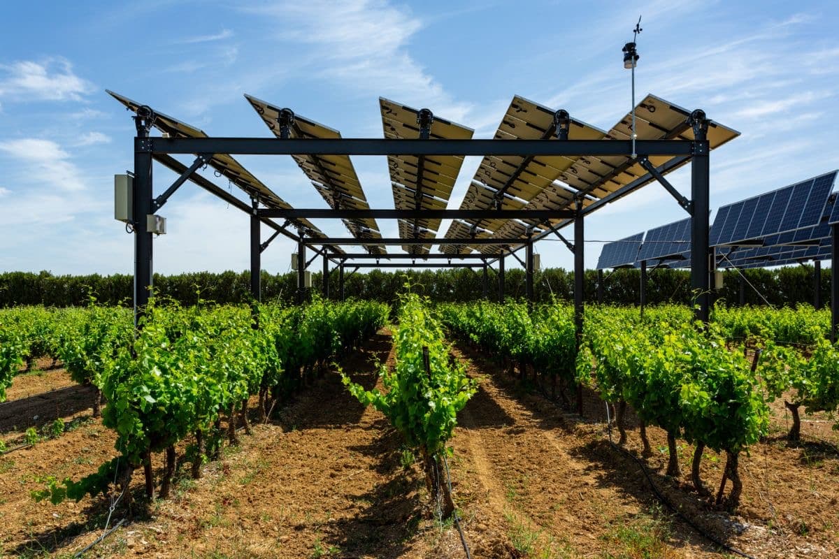 Off-grid solar installation with borehole pump on a farm